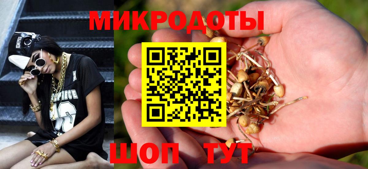 Екатеринбург  Псилоцибиновые грибы прущие грибы  Вход с VPN 